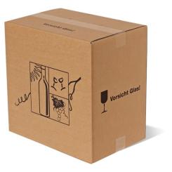 12er Versandkarton MASTERBOX 
