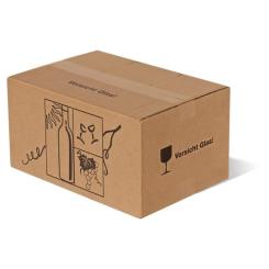 6er Versandkarton MASTERBOX 