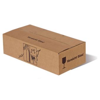 2er Masterbox Umkarton Flaschenversand Verpackung 